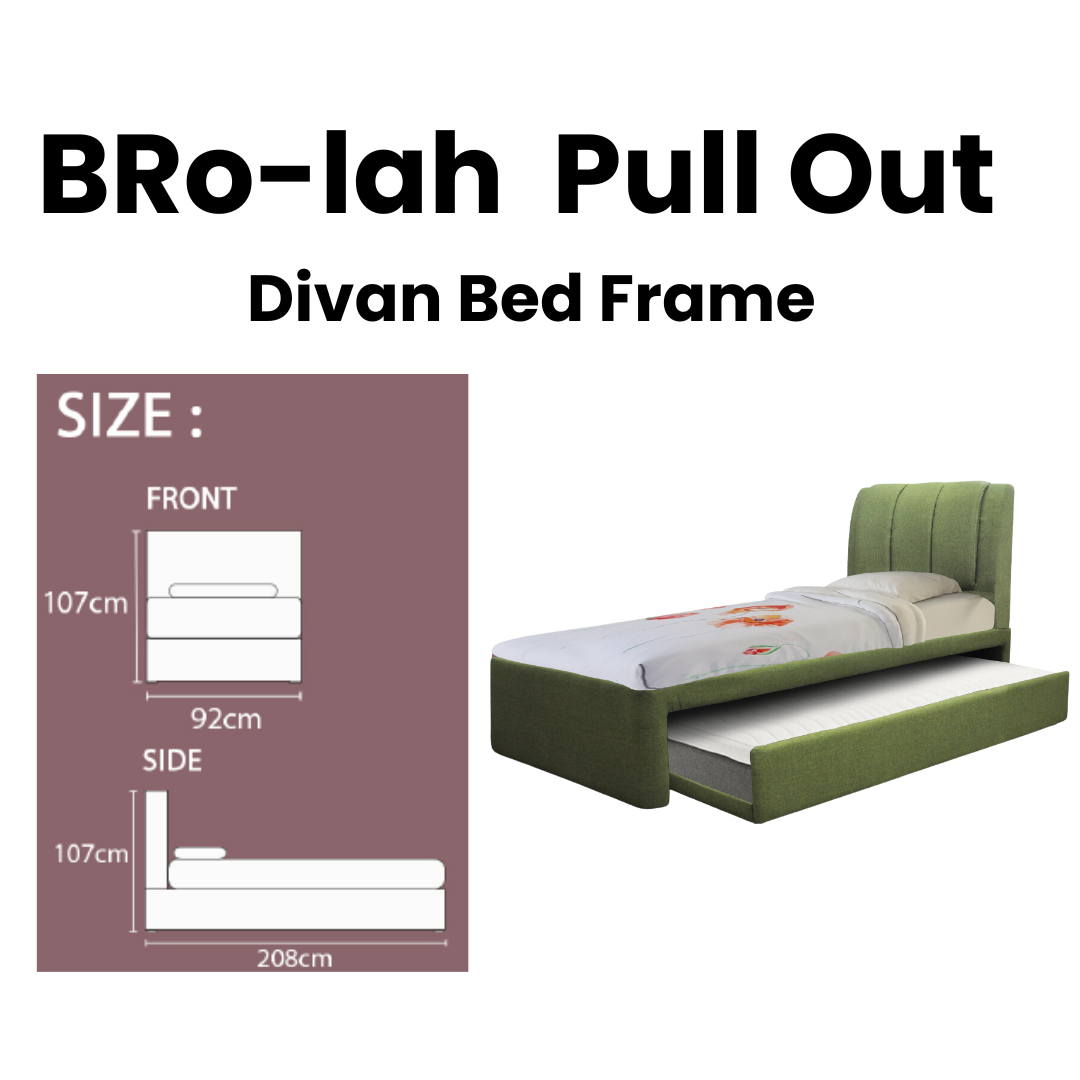 Bro-lah PullloutFabric Divan